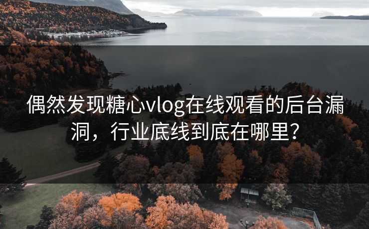 偶然发现糖心vlog在线观看的后台漏洞，行业底线到底在哪里？