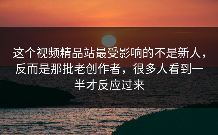 这个视频精品站最受影响的不是新人，反而是那批老创作者，很多人看到一半才反应过来