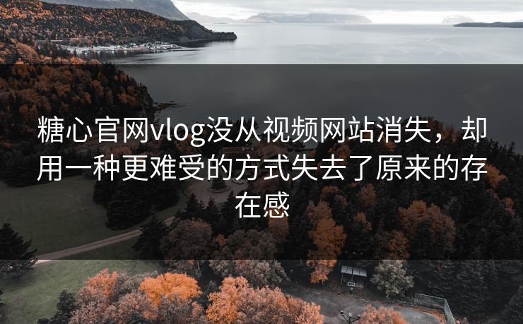 糖心官网vlog没从视频网站消失，却用一种更难受的方式失去了原来的存在感