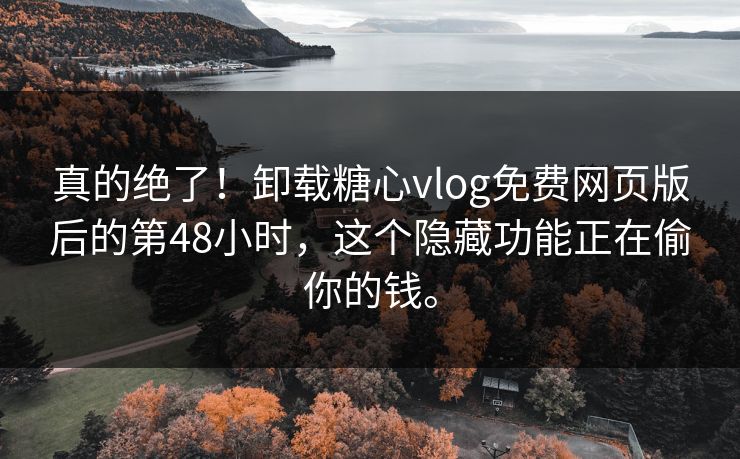 真的绝了！卸载糖心vlog免费网页版后的第48小时，这个隐藏功能正在偷你的钱。