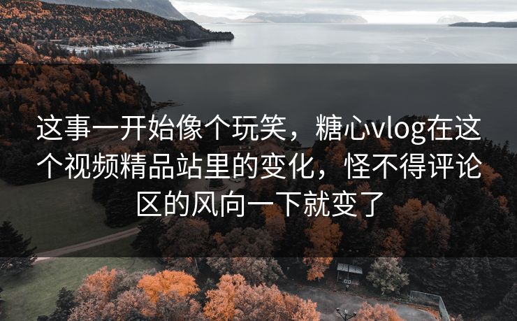 这事一开始像个玩笑，糖心vlog在这个视频精品站里的变化，怪不得评论区的风向一下就变了